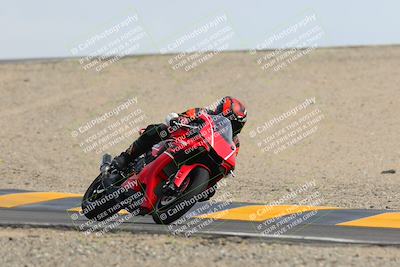 media/Mar-11-2023-SoCal Trackdays (Sat) [[bae20d96b2]]/Turn 12 (125pm)/